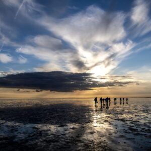 Østerssafari i solnedgangen Tøndermarsken med Vadehavets Oplevelser